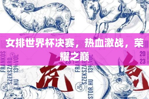 女排世界杯决赛，热血激战，荣耀之巅