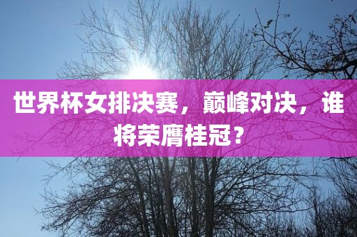 世界杯女排决赛，巅峰对决，谁将荣膺桂冠？