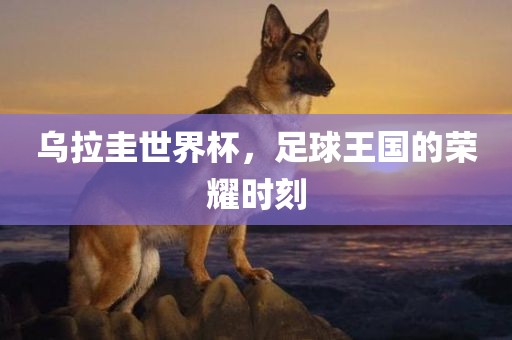 乌拉圭世界杯，足球王国的荣耀时刻吉安市靖泰电力工程有限公司