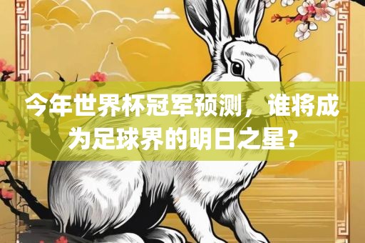 今年世界杯冠军预测，谁将成为足球界的明日之星？