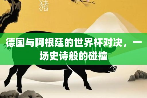 德国与阿根廷的世界杯对决，一场史诗般的碰撞吉安市靖泰电力工程有限公司