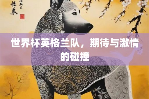 世界杯英格兰队，期待与激情的碰撞