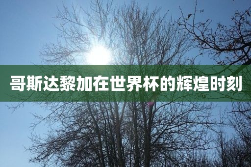 哥斯达黎加在世界杯的辉吉安市靖泰电力工程有限公司煌时刻
