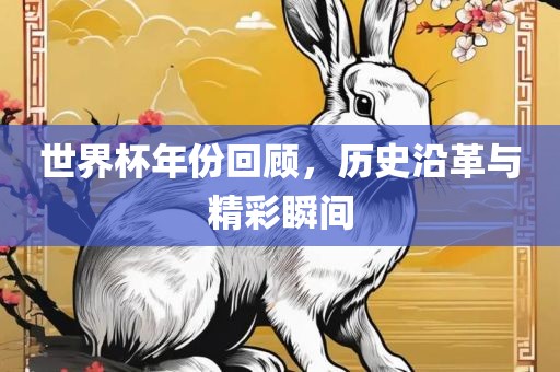 世界杯年份回顾，历史沿革与精彩瞬间吉安市靖泰电力工程有限公司