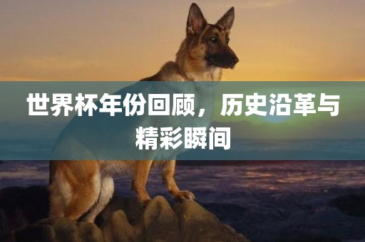 世界杯年份回顾，历史沿革与精彩瞬间吉安市靖泰电力工程有限公司