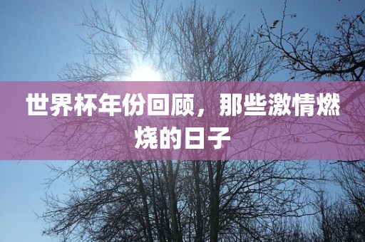 世界杯年份回顾，那些激情燃烧的日子