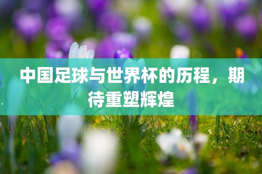 中国足球与世界杯的历程，期待重塑辉煌吉安市靖泰电力工程有限公司