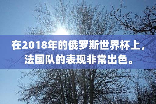 在2018年的俄罗斯世界杯上，法国队的表现非常出色。