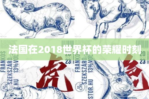 法国在2018世界杯的荣耀时刻