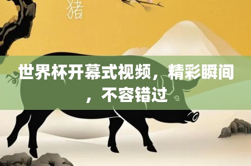 世界杯开幕吉安市靖泰电力工程有限公司式视频，精彩瞬间，不容错过