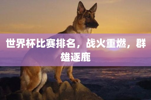 世界杯比赛排名，战火重燃，群雄逐鹿吉安市靖泰电力工程有限公司