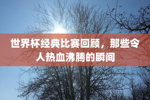 世界杯经典比赛回顾，那些令人热血沸腾的瞬间吉安市靖泰电力工程有限公司