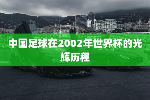 中国足球在2002年世界杯的光辉历程吉安市靖泰电力工程有限公司