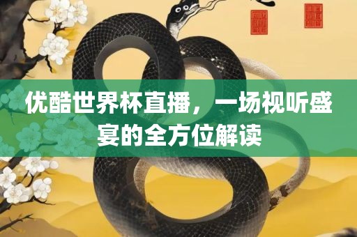 优酷世界杯直播，一场视听盛宴的全方位解读