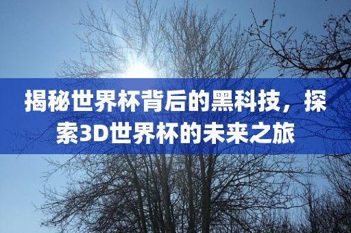 揭秘世界杯背后的黑科技，探吉安市靖泰电力工程有限公司索3D世界杯的未来之旅