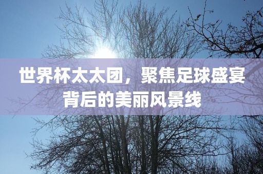 世界杯太太团，聚焦足球盛宴背后的美丽风景线