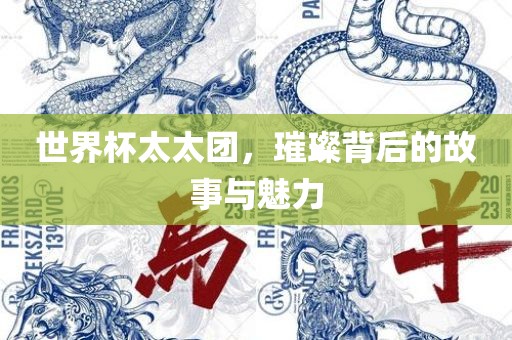 世界杯太太团，璀璨背后的故事与魅力吉安市靖泰电力工程有限公司