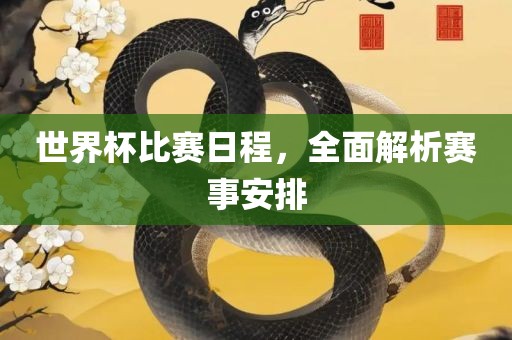 世界杯比赛日程，全面解析赛事安排