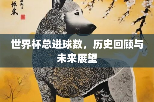 世界杯总进球数，历史回顾与未来展望