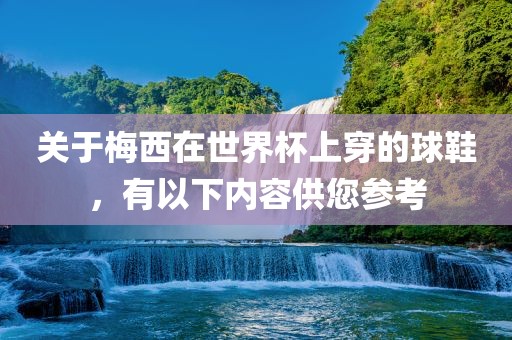 关于梅西在世界杯上穿的球鞋，有以下内容供您参考