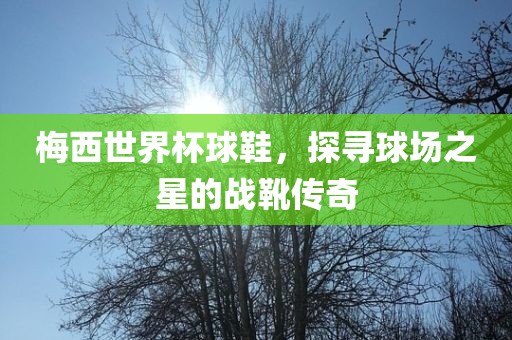 梅西世界杯球鞋，探寻球场之星的战靴传奇