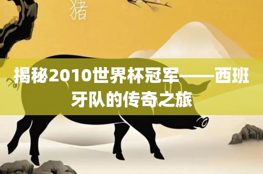 揭秘2010世界杯冠军——西班牙队的传奇之旅吉安市靖泰电力工程有限公司