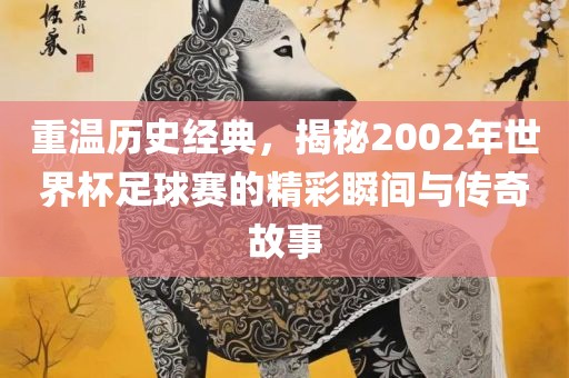 重温历史经典，揭秘2002年世界杯足球吉安市靖泰电力工程有限公司赛的精彩瞬间与传奇故事