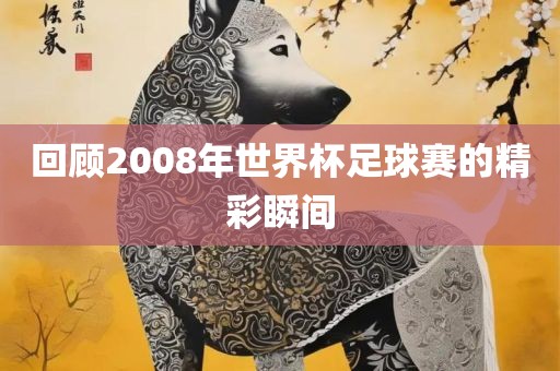 回顾2008年世界杯足球赛的精彩瞬间吉安市靖泰电力工程有限公司