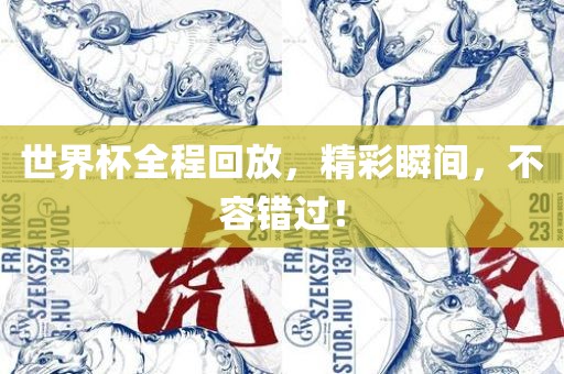 世界杯全程回放，精彩瞬间，不容错过！