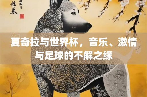 夏奇拉与世界杯，音乐、激情与足球的不解之缘吉安市靖泰电力工程有限公司