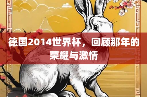 德国2014世界杯，回顾那年的荣耀与激情