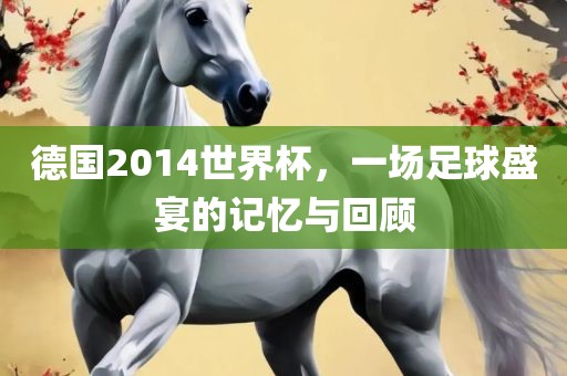 德国2014世界杯，一场足球盛宴的记忆与回顾