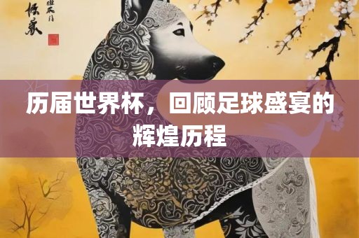 历届世界杯，回顾足球盛宴的辉煌历程吉安市靖泰电力工程有限公司