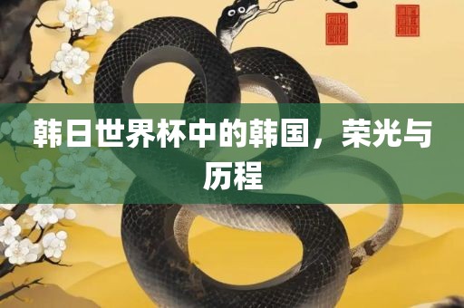 韩日世界杯中的韩国，荣光与历程吉安市靖泰电力工程有限公司
