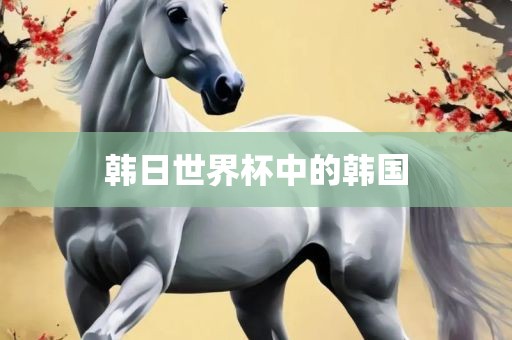 韩日世界杯中的韩国