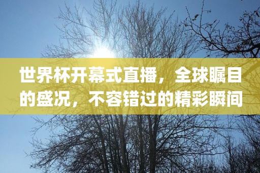 世界杯开幕式直播，全球瞩目的盛况，不容错过的精彩瞬间