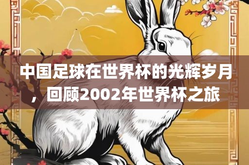 中国足球在世界杯的光辉岁月，回顾2002年世界杯之旅吉安市靖泰电力工程有限公司