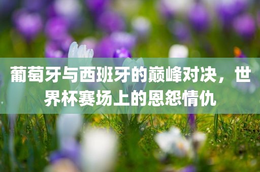 zhengliyun 第6页