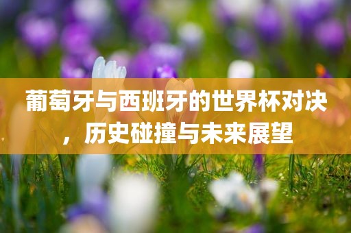 葡萄牙与西班牙的世界杯对决，历史碰撞与未来展望