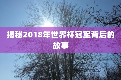 揭秘2018年世界杯冠军背后的故事吉安市靖泰电力工程有限公司