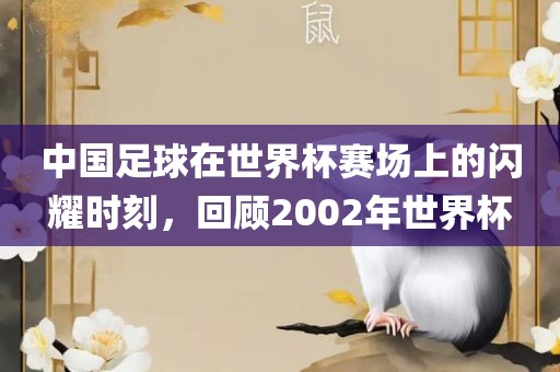 吉安市靖泰电力工程有限公司中国足球在世界杯赛场上的闪耀时刻，回顾2002年世界杯