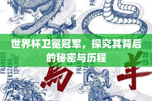世界杯卫冕冠军，探究其背后的秘密与历程