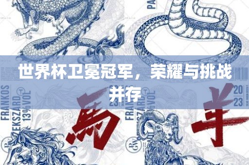 世界吉安市靖泰电力工程有限公司杯卫冕冠军，荣耀与挑战并存