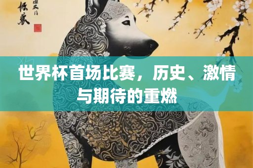 世界杯首场比赛，历史、激情与期待的重燃吉安市靖泰电力工程有限公司