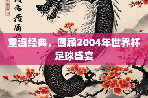 重温经典，吉安市靖泰电力工程有限公司回顾2004年世界杯足球盛宴