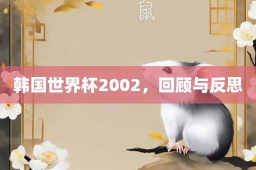 韩国世界杯2002，回顾与反思