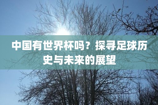 中国吉安市靖泰电力工程有限公司有世界杯吗？探寻足球历史与未来的展望
