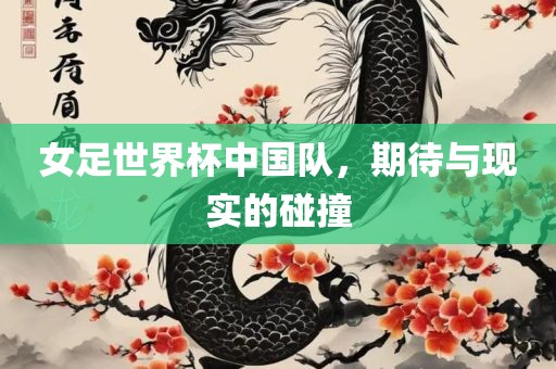 女吉安市靖泰电力工程有限公司足世界杯中国队，期待与现实的碰撞