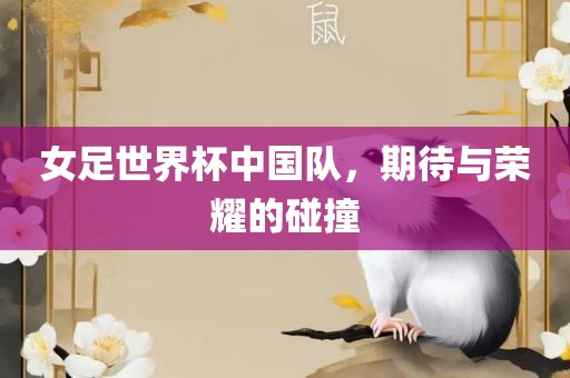女足世界杯中国队，期待与荣耀的碰撞
