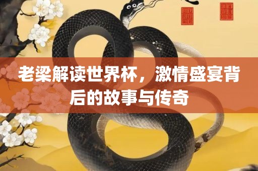 老梁解读世界杯，激情盛宴背后的故事与传奇